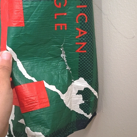 American Eagle Reusable Shopping Bag - Picture 4 of 9